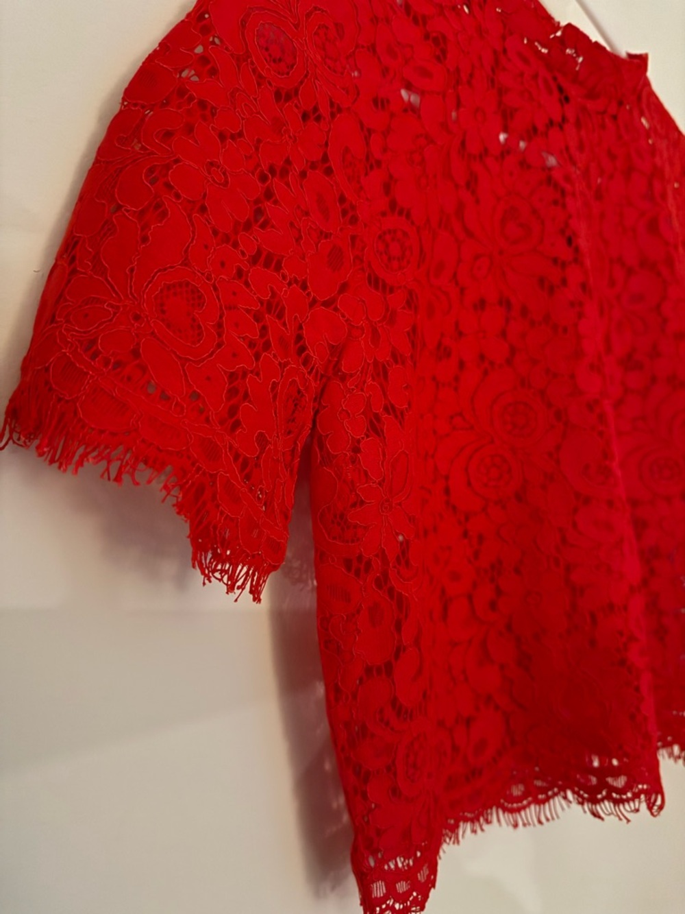 Express Red Eyelet Lace Floral Cropped Shell Top